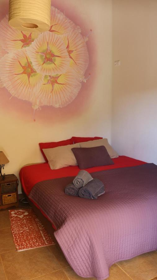אודסש Vida Pura Guesthouse מראה חיצוני תמונה