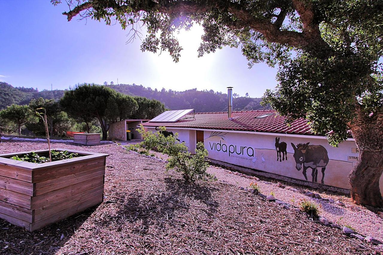 אודסש Vida Pura Guesthouse מראה חיצוני תמונה
